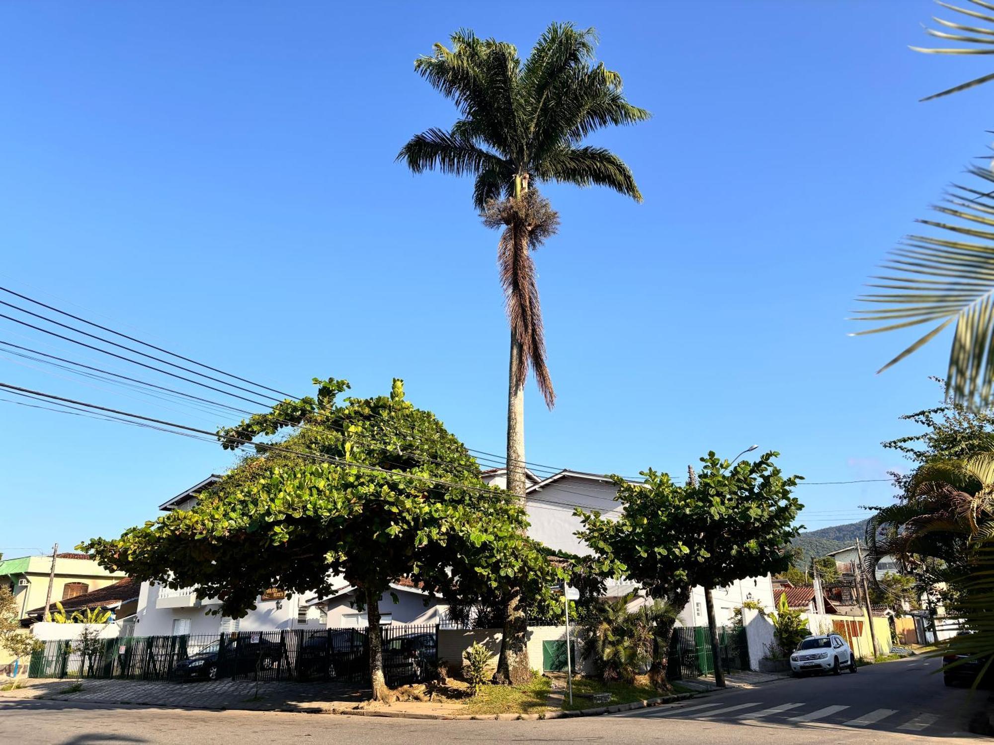 Flat Duplex Localizacao Espetacular 2 Quadras Da *